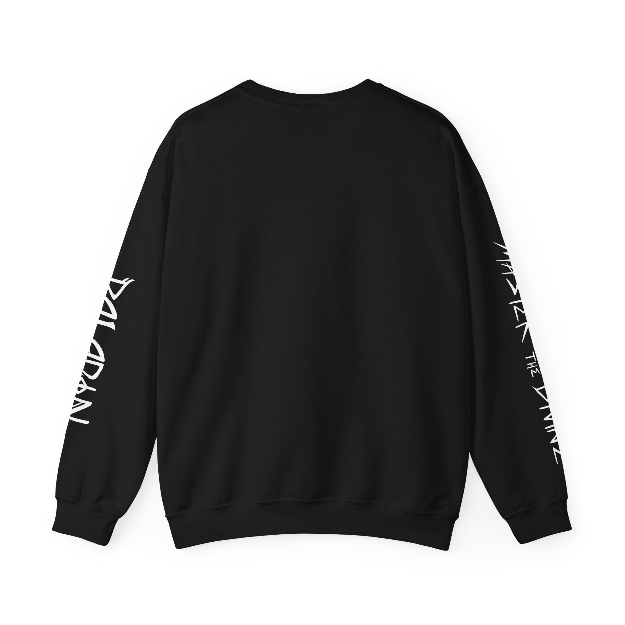 PALADIN SILHOUETTE CLASS SWEATSHIRT