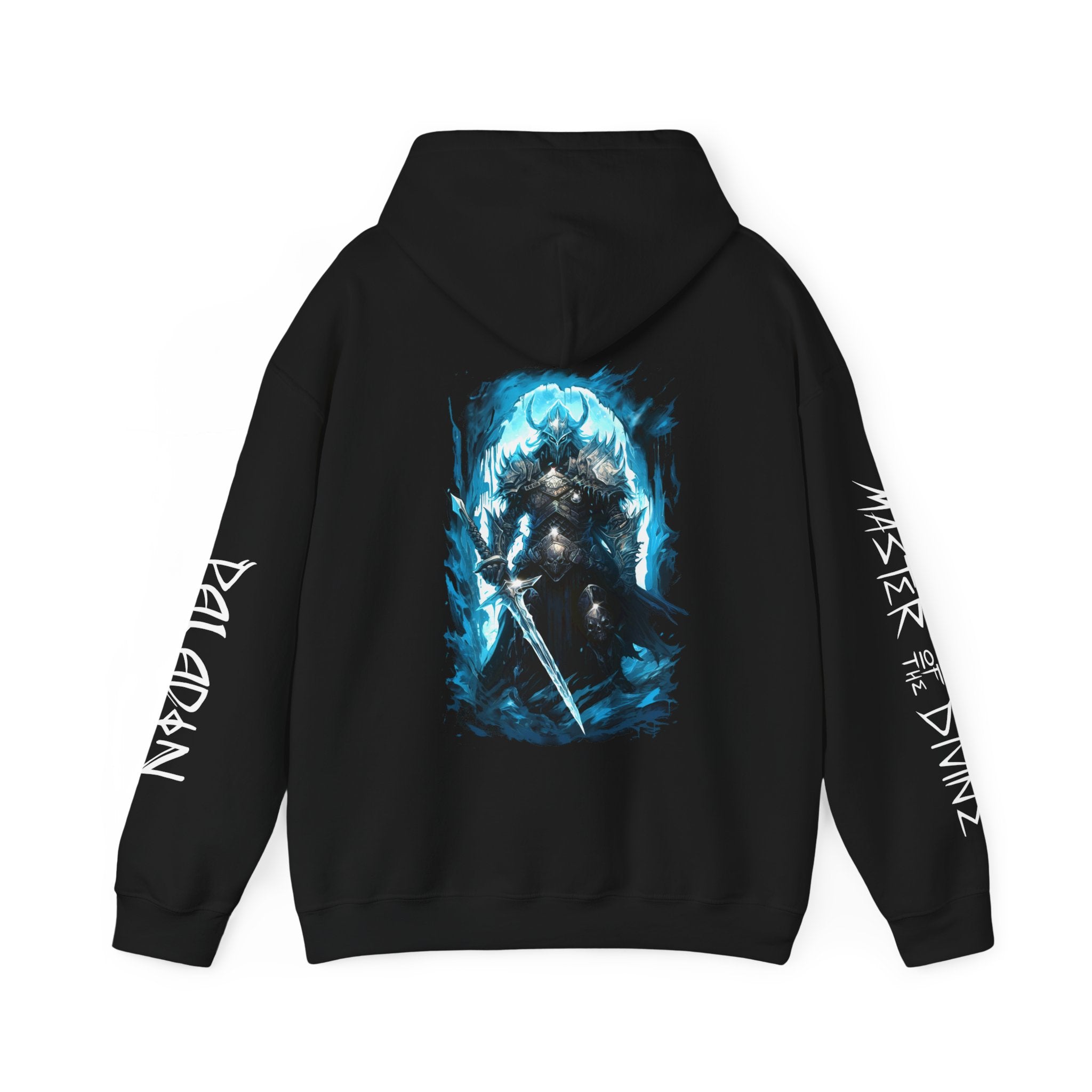 PALADIN CLASS GRAPHIC HOODIE