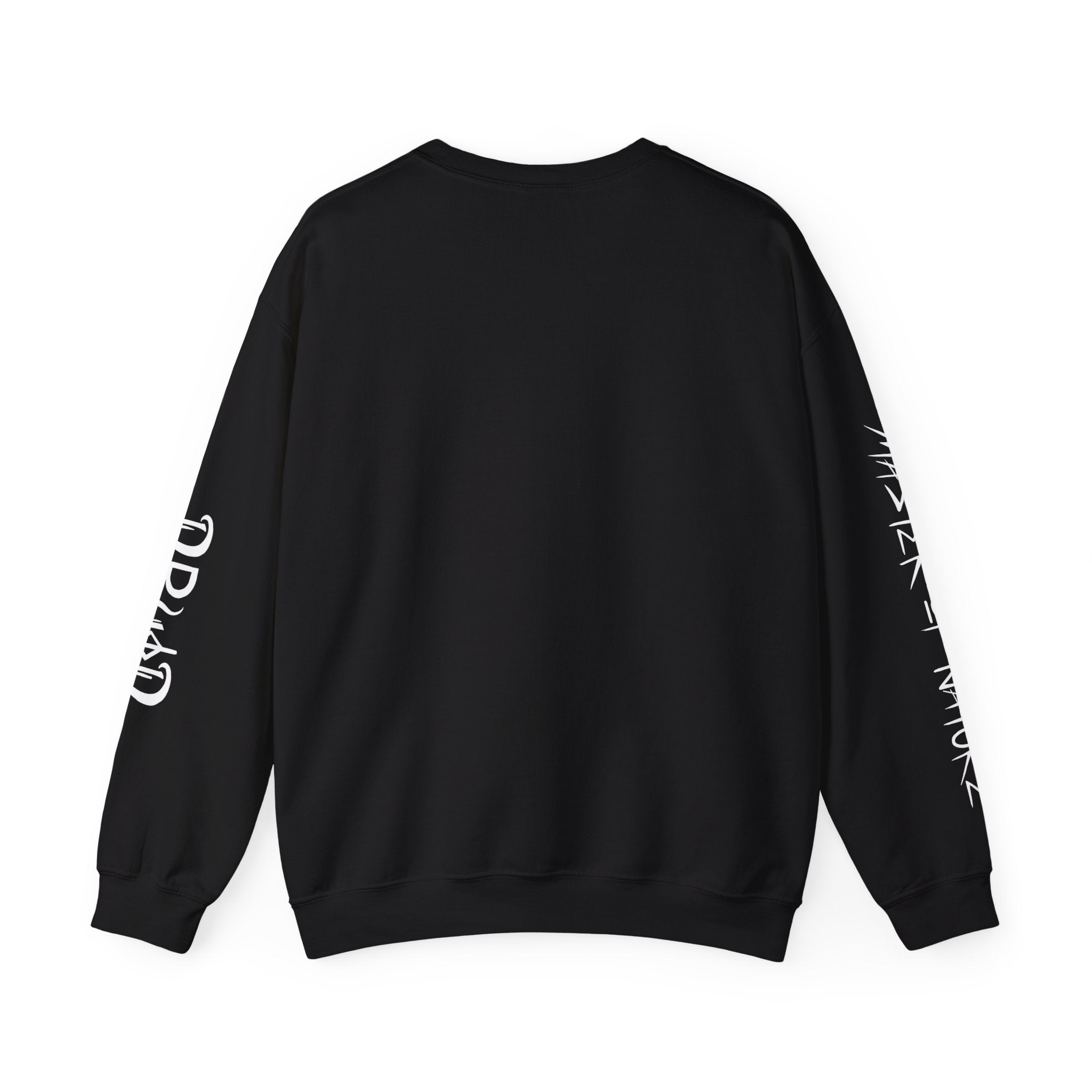 DRUID GRAPHIC CLASS SWEATSHIRT