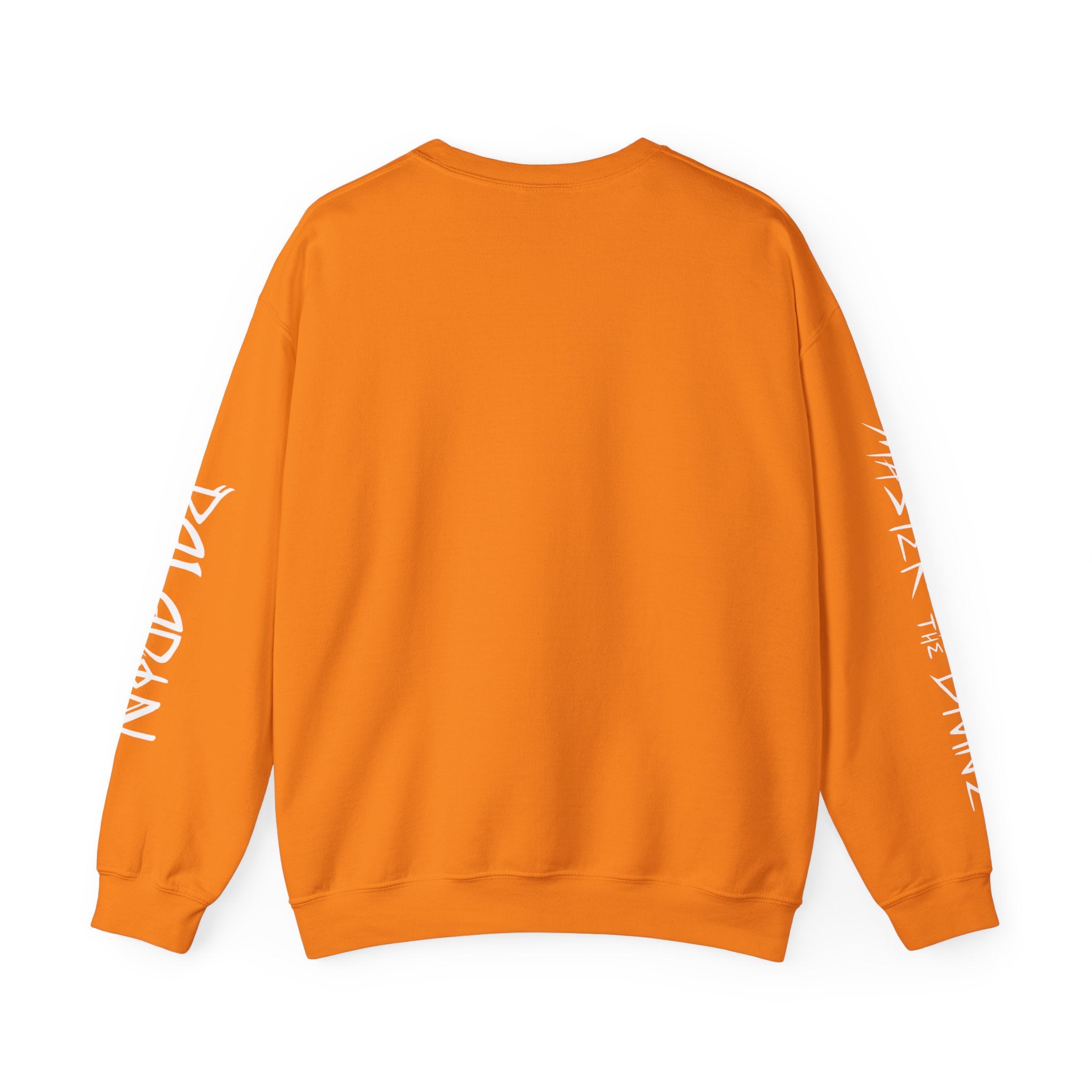 PALADIN SILHOUETTE CLASS SWEATSHIRT