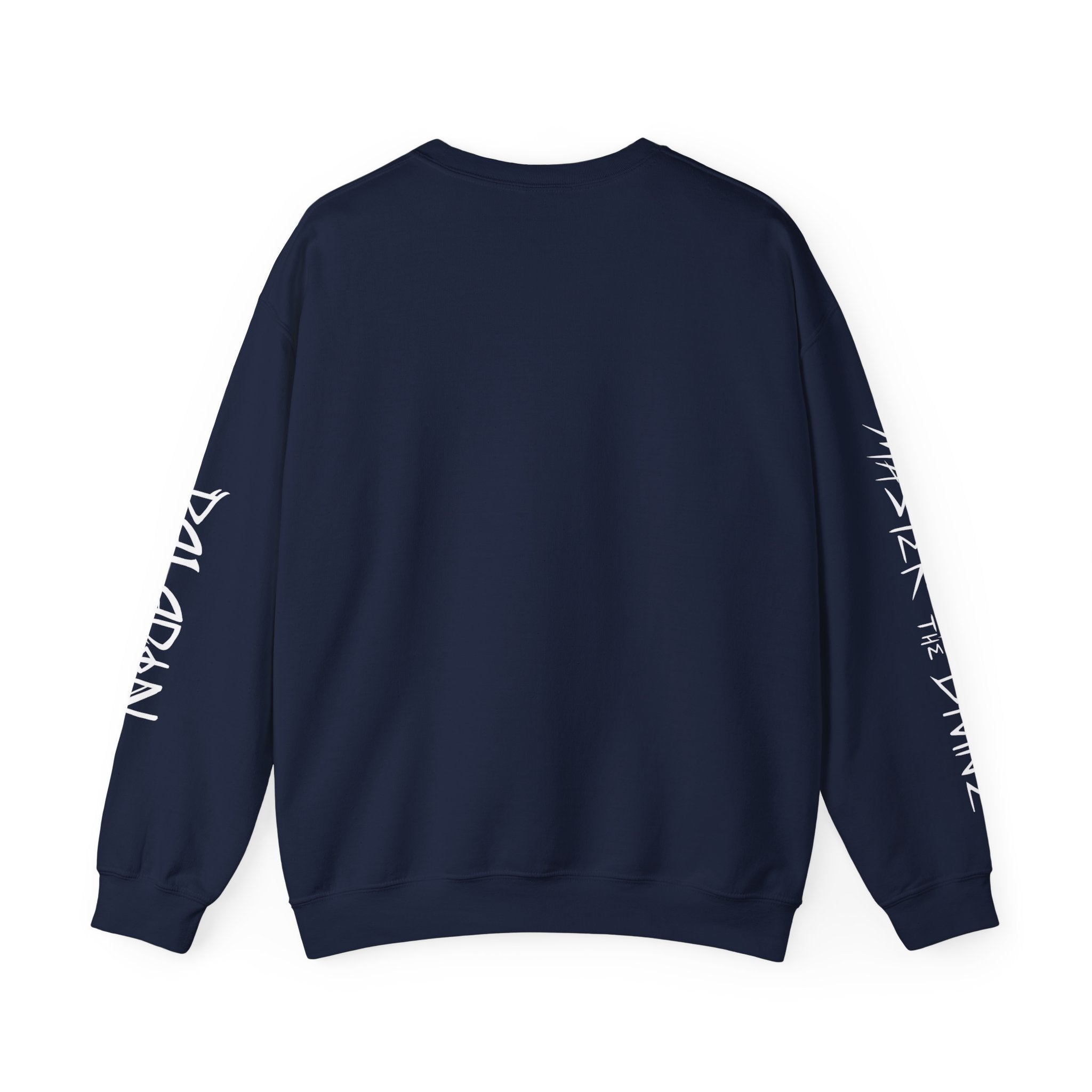 PALADIN GRAPHIC CLASS SWEATSHIRT