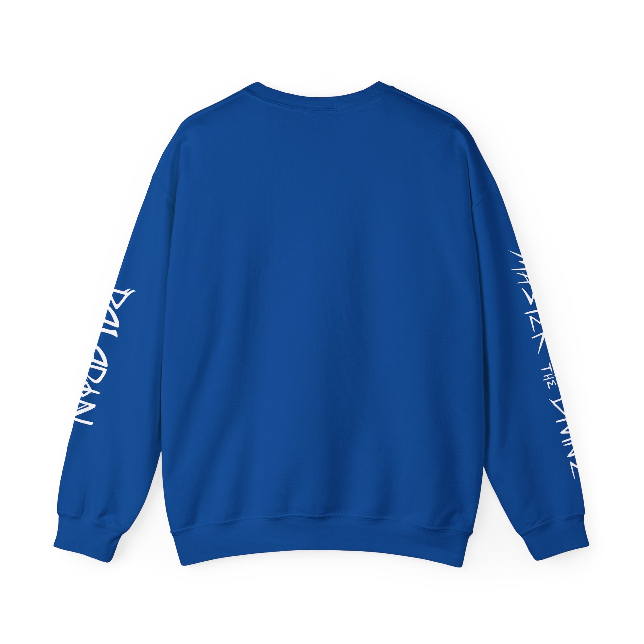 PALADIN GRAPHIC CLASS SWEATSHIRT