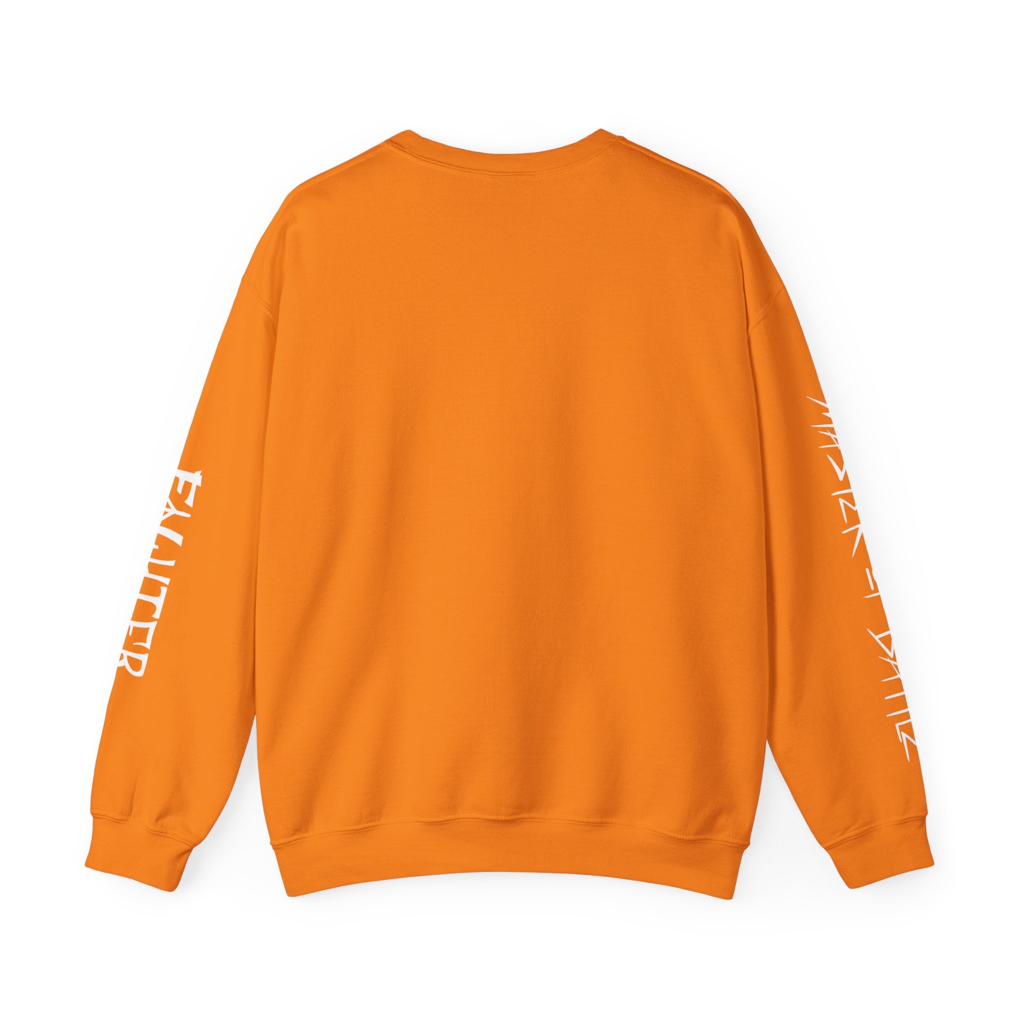 FIGHTER SILHOUETTE CLASS SWEATSHIRT