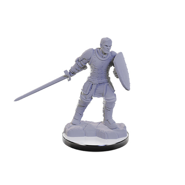 Dungeons & Dragons Nolzur's Marvelous Unpainted Miniatures: Reborn Paladin & Warlock (Wave 22)