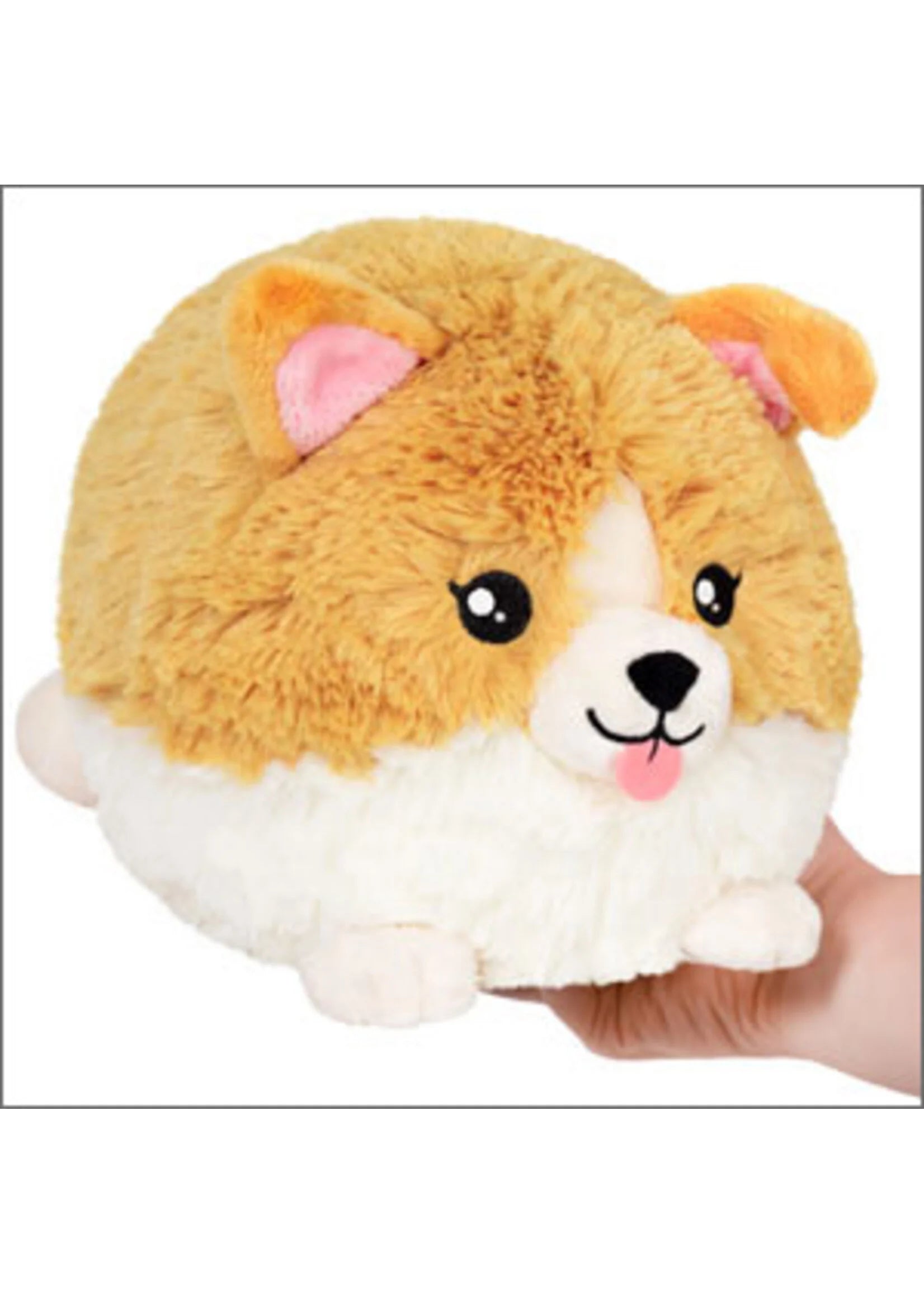 Mini Squishable Baby Corgi