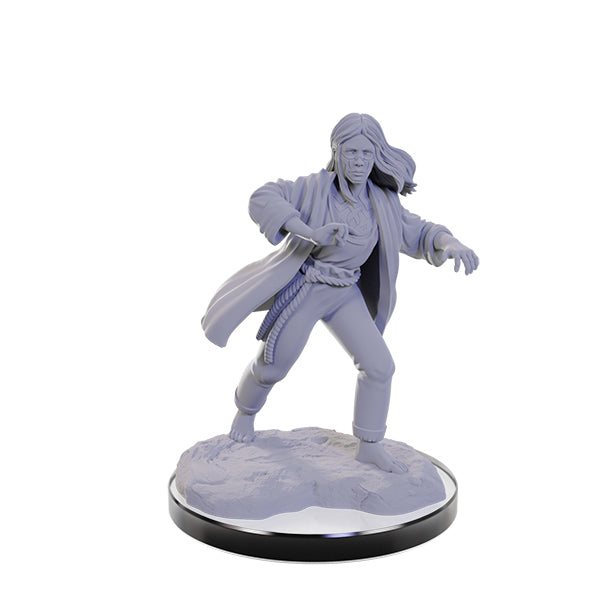 Dungeons & Dragons Nolzur's Marvelous Unpainted Miniatures: Reborn Paladin & Warlock (Wave 22)