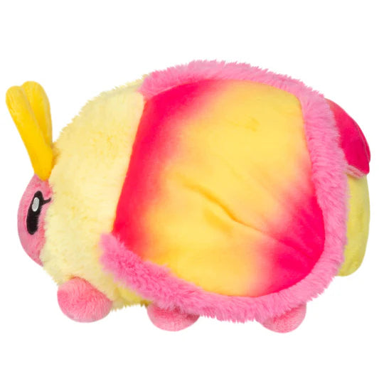 Snacker Rosy Maple Moth