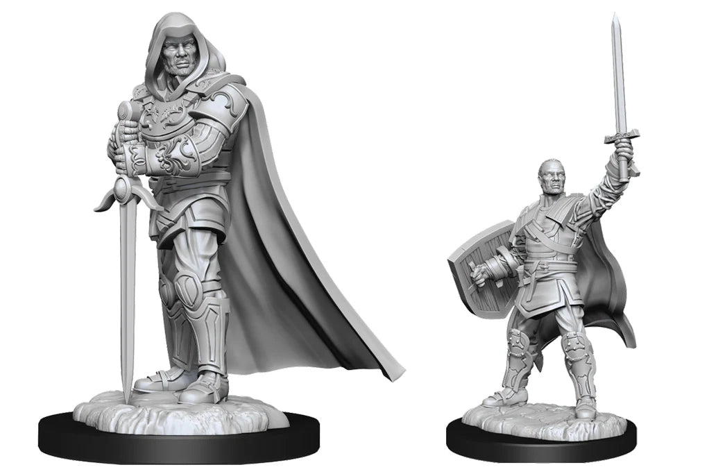 D&D Nolzur's Marvelous Miniatures: Unpainted Minis - Human Paladin Male (Wave 13)