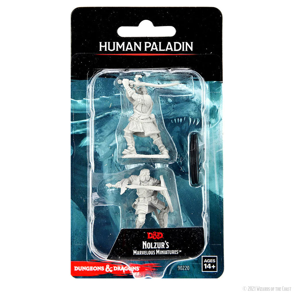 D&D Nolzur's Marvelous Miniatures: Unpainted Minis - Human Paladin Male (Wave 14)